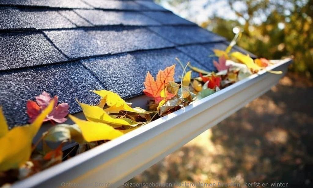 Seizoensgebonden rioolproblemen Dronten: herfst en winter