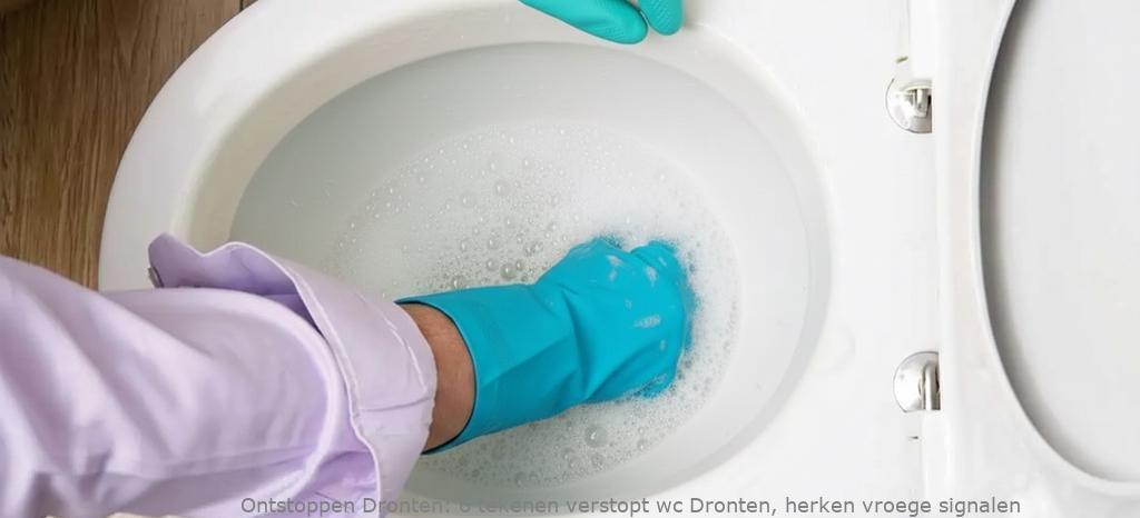 6 tekenen verstopt wc Dronten, herken vroege signalen